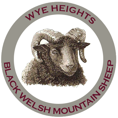 Wye Heights